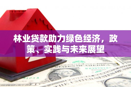 竹南林业贷款助力绿色经济，政策、实践与未来展望