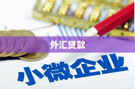 竹南外汇贷款