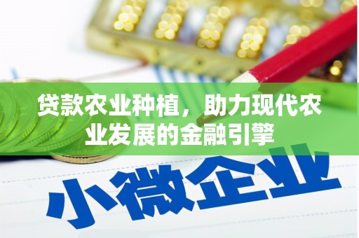 竹南贷款农业种植，助力现代农业发展的金融引擎