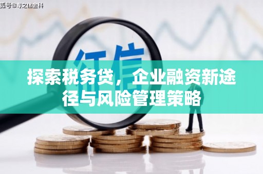 竹南探索税务贷，企业融资新途径与风险管理策略