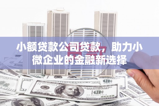 竹南小额贷款公司贷款，助力小微企业的金融新选择