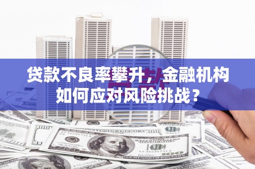 竹南贷款不良率攀升，金融机构如何应对风险挑战？