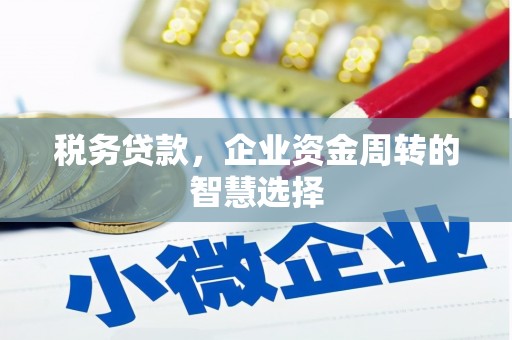 竹南税务贷款，企业资金周转的智慧选择