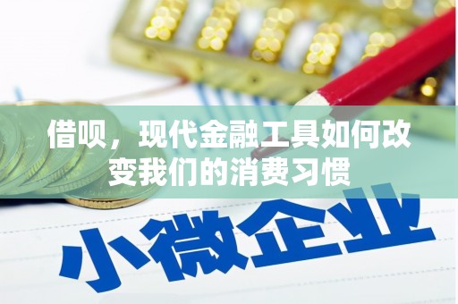竹南借呗，现代金融工具如何改变我们的消费习惯