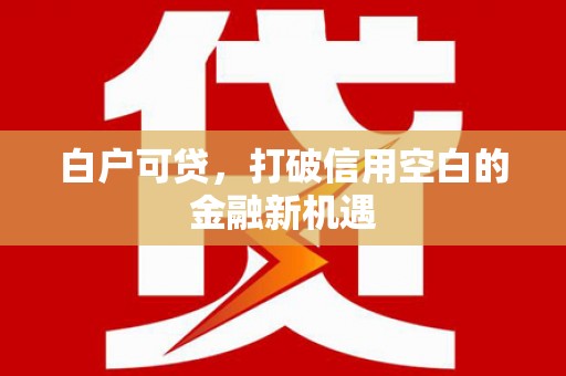 竹南白户可贷，打破信用空白的金融新机遇