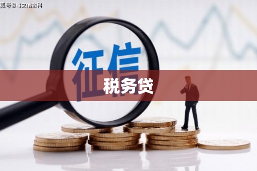 竹南税务贷