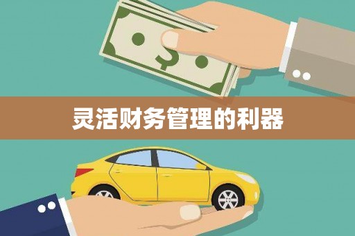 竹南灵活财务管理的利器