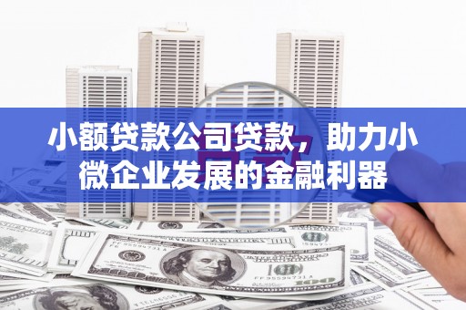 竹南小额贷款公司贷款，助力小微企业发展的金融利器