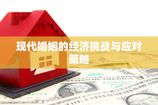 竹南现代婚姻的经济挑战与应对策略