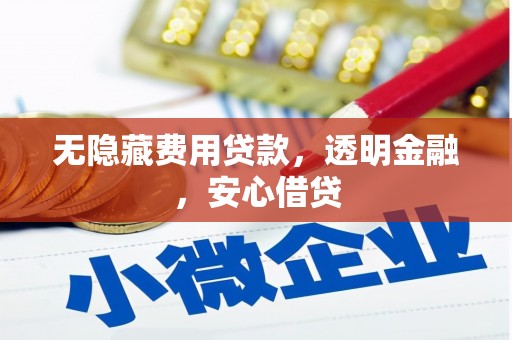 竹南无隐藏费用贷款，透明金融，安心借贷