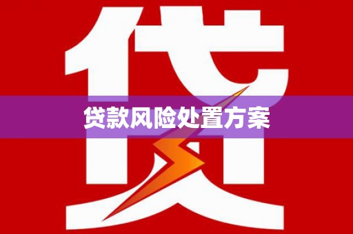 竹南贷款风险处置方案