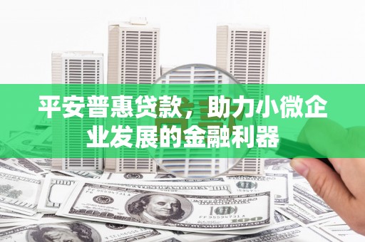 竹南平安普惠贷款，助力小微企业发展的金融利器