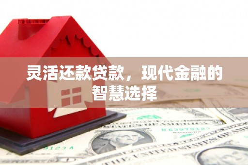 竹南灵活还款贷款，现代金融的智慧选择