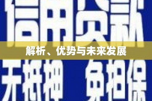 竹南解析、优势与未来发展