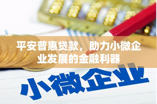 竹南平安普惠贷款，助力小微企业发展的金融利器