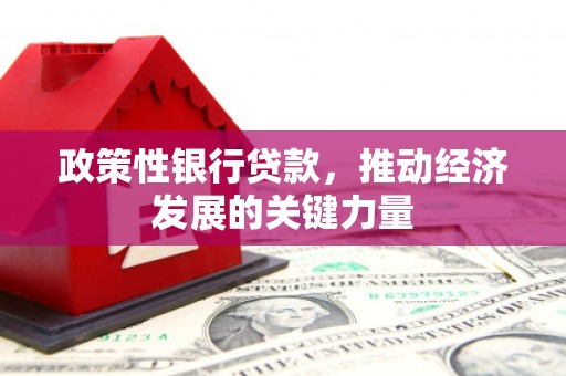 竹南政策性银行贷款，推动经济发展的关键力量