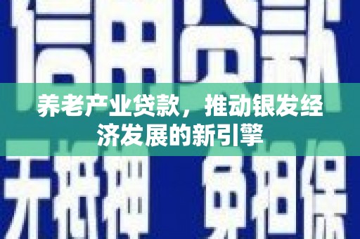 竹南养老产业贷款，推动银发经济发展的新引擎