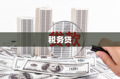 竹南税务贷