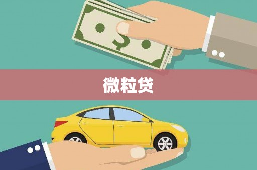 竹南微粒贷