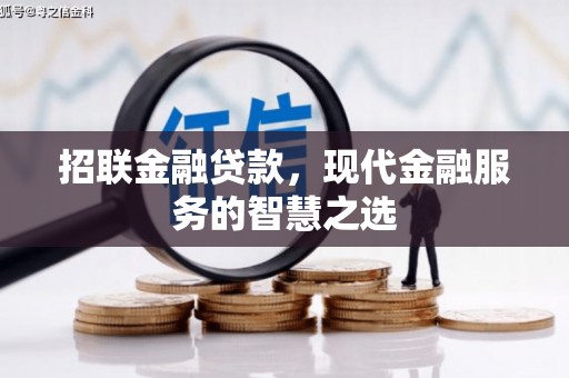 竹南招联金融贷款，现代金融服务的智慧之选