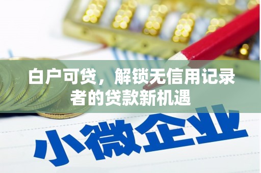 竹南白户可贷，解锁无信用记录者的贷款新机遇