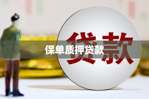 竹南保单质押贷款