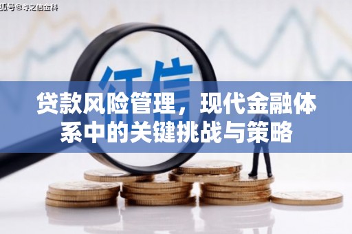竹南贷款风险管理，现代金融体系中的关键挑战与策略