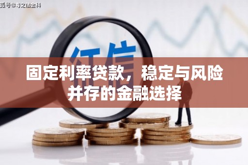 竹南固定利率贷款，稳定与风险并存的金融选择