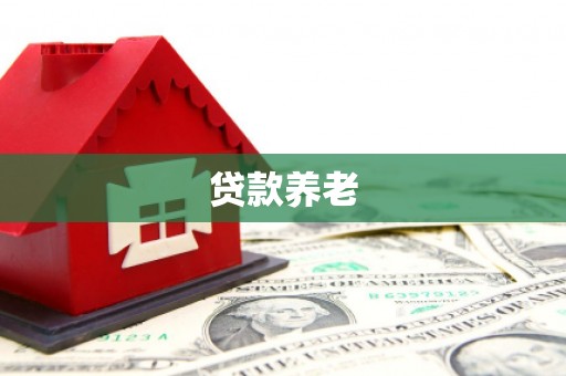 竹南贷款养老