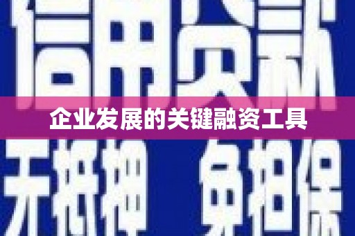 竹南企业发展的关键融资工具