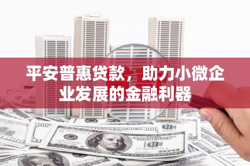 竹南平安普惠贷款，助力小微企业发展的金融利器