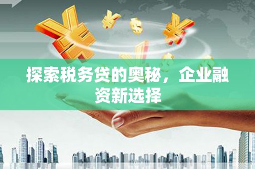 竹南探索税务贷的奥秘，企业融资新选择
