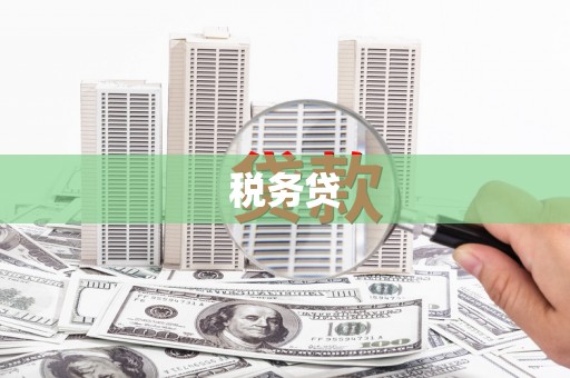 竹南税务贷
