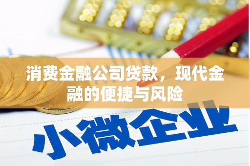 竹南消费金融公司贷款，现代金融的便捷与风险