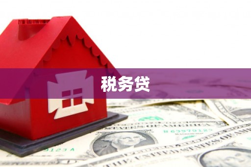 竹南税务贷