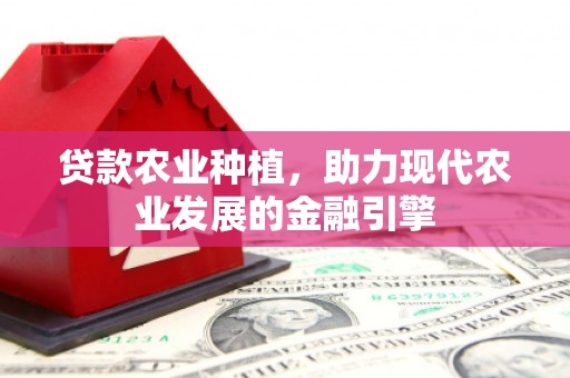 竹南贷款农业种植，助力现代农业发展的金融引擎