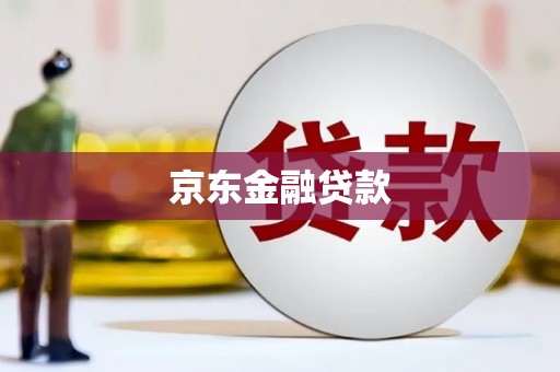 竹南京东金融贷款