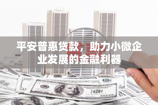 竹南平安普惠贷款，助力小微企业发展的金融利器