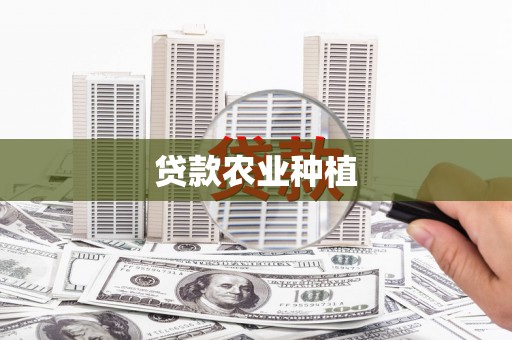 竹南贷款农业种植