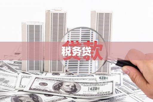 竹南税务贷