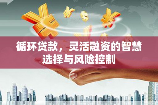 竹南循环贷款，灵活融资的智慧选择与风险控制