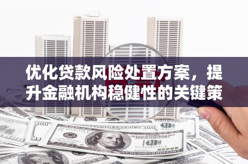 竹南优化贷款风险处置方案，提升金融机构稳健性的关键策略