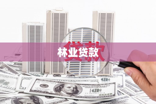 竹南林业贷款