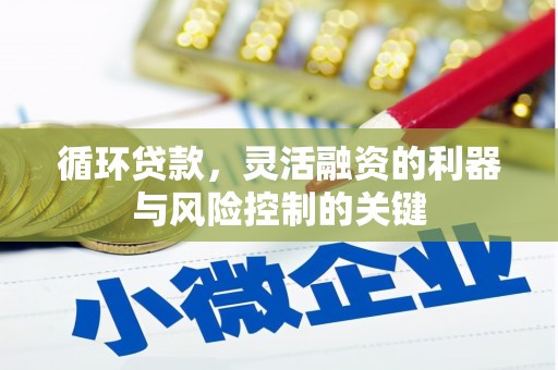 竹南循环贷款，灵活融资的利器与风险控制的关键