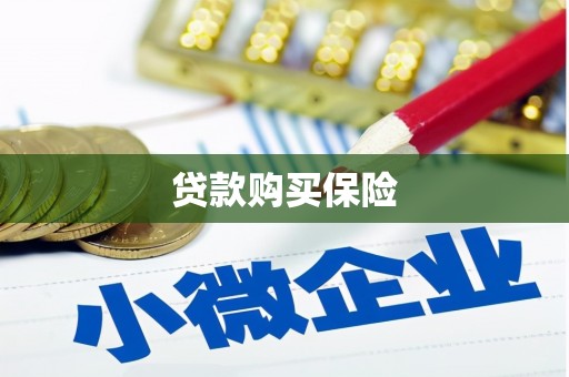 竹南贷款购买保险