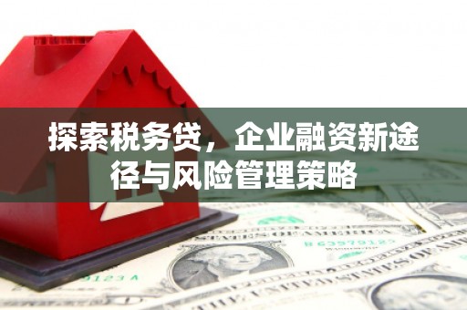 竹南探索税务贷，企业融资新途径与风险管理策略