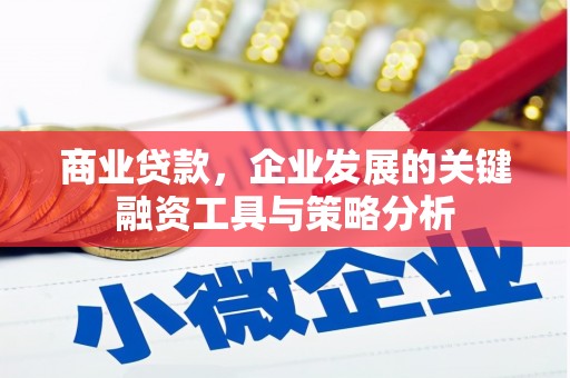 竹南商业贷款，企业发展的关键融资工具与策略分析