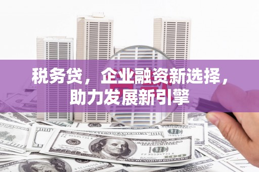 竹南税务贷，企业融资新选择，助力发展新引擎