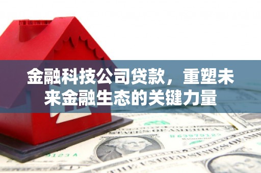 竹南金融科技公司贷款，重塑未来金融生态的关键力量