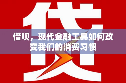 竹南借呗，现代金融工具如何改变我们的消费习惯